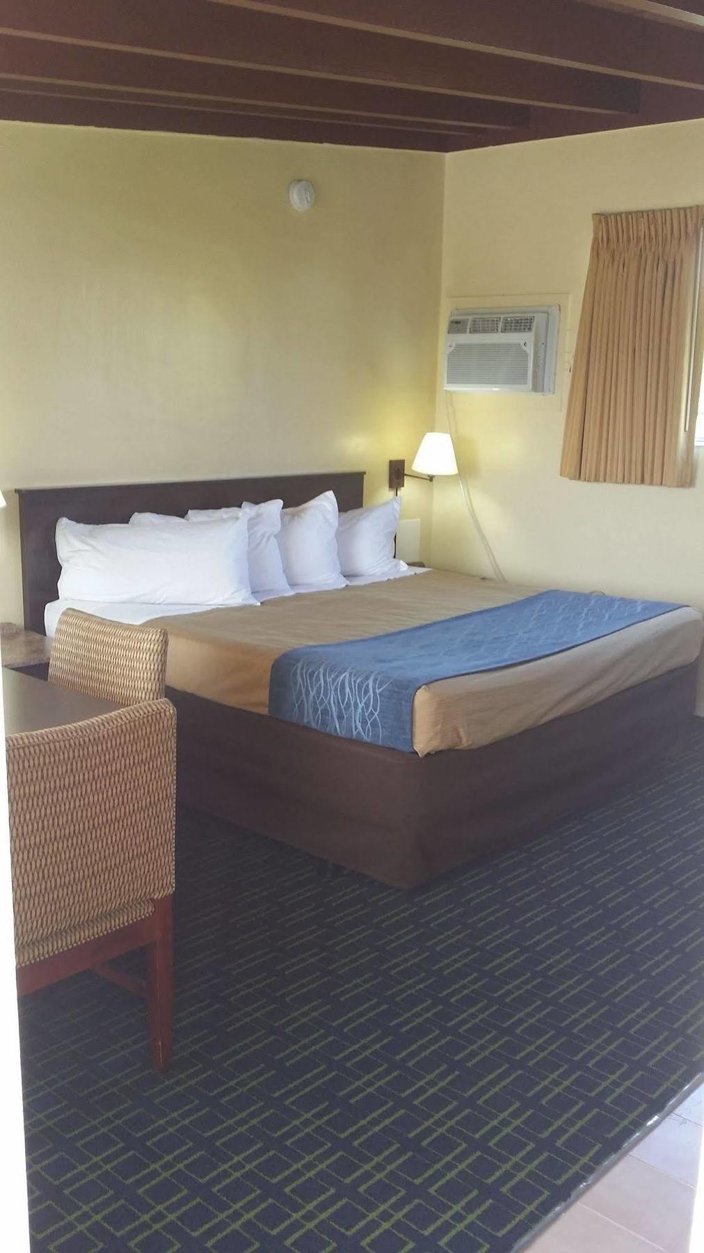 The Palms On Ocean Motel Pompano Beach Kültér fotó