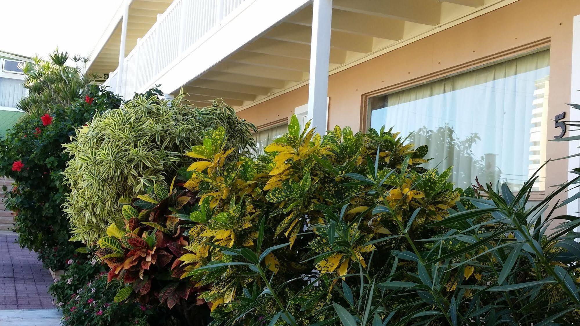 The Palms On Ocean Motel Pompano Beach Kültér fotó
